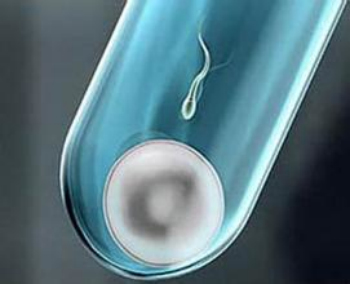 能讓精子死忙的原因是什么