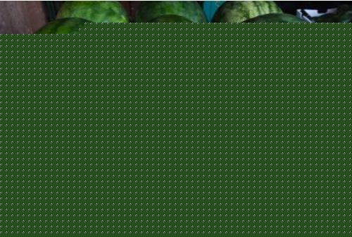 西瓜也可以治療男性不育